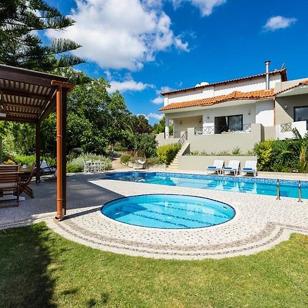 Alonia Villa, Refined Living With 50M2 Private Pool, By Thinkvilla Melidhónion Dış mekan fotoğraf